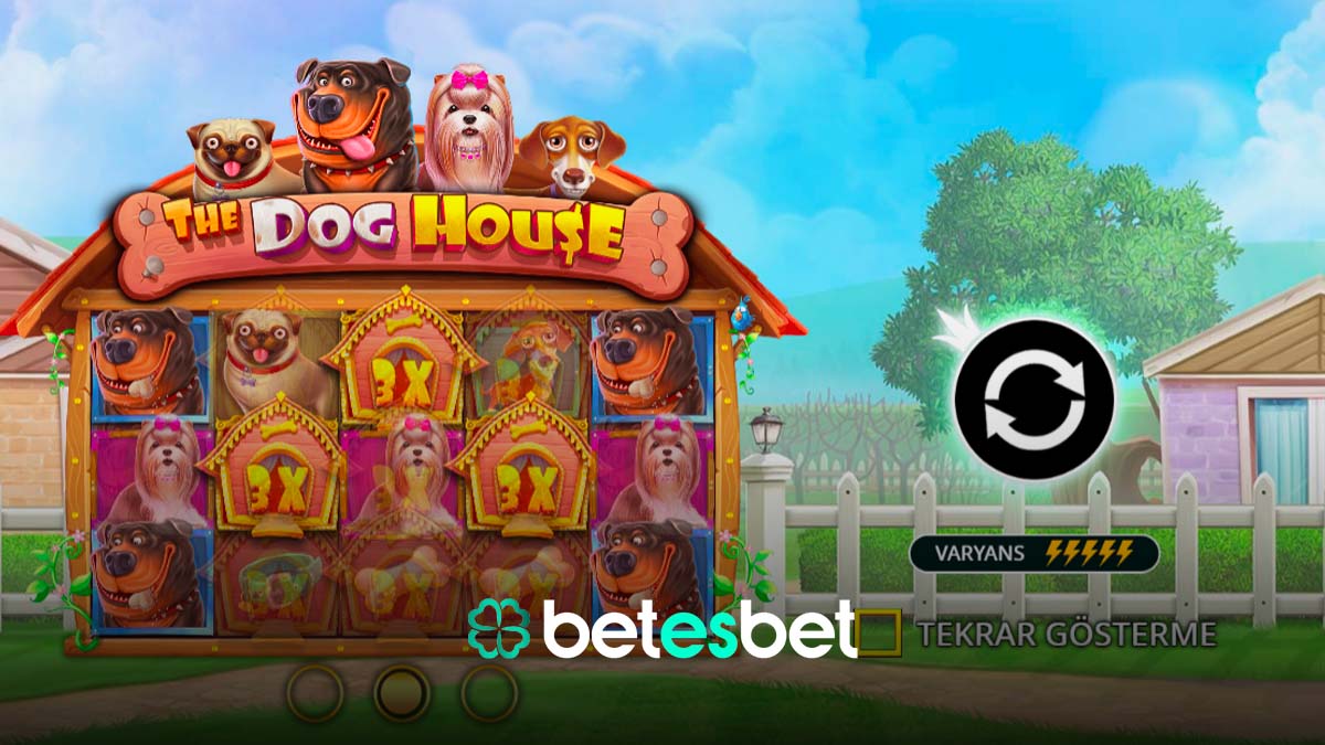 Betesbet The Dog House