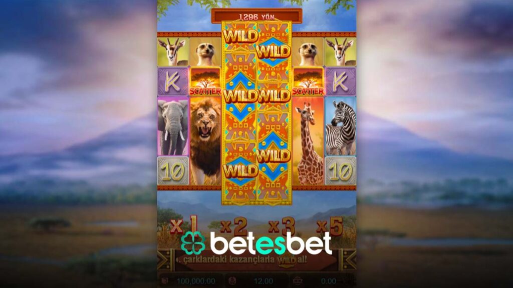 Betesbet Safarı Wilds