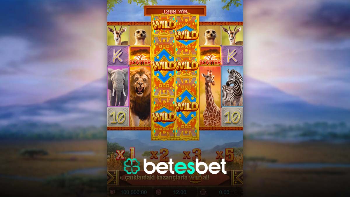 Betesbet Safarı Wilds